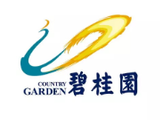 庆元碧桂园地产